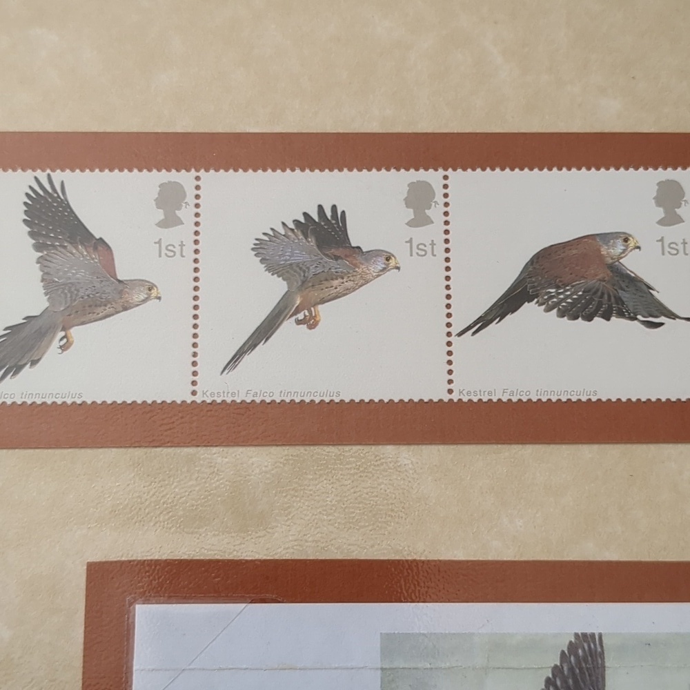Kestrel Bird Stamp Collection Sheet - Picture 3 of 6